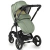 Babystyle EGG 2 Stroller 4in1 Seagrass
