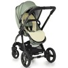 Babystyle EGG 2 Stroller 4in1 Seagrass