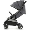 Babystyle Sportinis vežimėlis eggZ Quartz