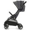 Babystyle Sportinis vežimėlis eggZ Quartz