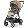 Babystyle Sportinis vežimėlis Oyster 3 Butterscotch