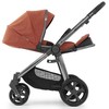 Babystyle Sportinis vežimėlis Oyster 3 Ember