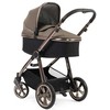 Babystyle Universalus vežimėlis Oyster 3 2in1 Mink