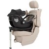 Carrello Ammonite isofix bazė