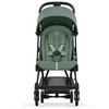 Cybex Coya vežimėlis Leaf Žalias, matt juodas frame