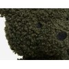 Jollein minkštas žaislas Teddy Bear Leaf Žalias