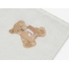 Jollein muslino audinio vystyklų rinkinys 115x115cm Teddy Bear 2vnt.