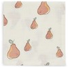 Jollein muslino merliukai 31x31 cm Pear 3vnt