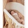 Jollein seilinukas Bib Bandana Teddy Bear 2vnt
