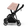 Sportinis vežimėlis Thule Shine Misty rose pink/juodas frame