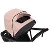 Sportinis vežimėlis Thule Shine Misty rose pink/juodas frame