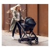 Thule Shine adapteriai automobilinei kėdutei