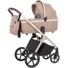 Universalus vežimėlio komplektas Carrello Vector 2in1 Walnut rusvai gelsvas 6550