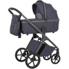 Universalus vežimėlio komplektas Carrello Vector 2in1 Plum Pilkas 6550