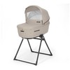 Universalus vežimėlio komplektas Inglesina Aptica 4in1 Pashmina rusvai gelsvas + Darwin Infant Recline 0-13 kg