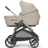 Universalus vežimėlio komplektas Inglesina Aptica 4in1 Pashmina rusvai gelsvas + Darwin Infant Recline 0-13 kg