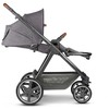 Universalus vežimėlis ABC Design Swing 2in1 Street
