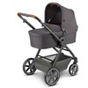 Universalus vežimėlis ABC Design Swing 2in1 Street