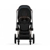 Universalus vežimėlis Cybex Priam V4 Plus Stardust Juodas/Juodas Brown 2in1