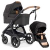 Universalus vežimėlis Emmaljunga Sento Ergo Plus 2in1 Outdoor Brown