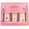 Accentra bath set DR. FINLAY`S in a gift box rose and oranžinis blossom, dušo želė 240ml, body lotion 190ml, hand and nail cream 60ml