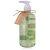 Accentra Botanic Spa Hand Soap 290 ml
