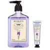 Accentra Dr. Finlay`s Lavender Hand Care Gift Set
