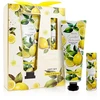Accentra Essential Botanics Lemon &amp; Bergamot Gift Set