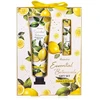 Accentra Essential Botanics Lemon &amp; Bergamot Gift Set