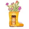 Accentra Garden Dreams Rankų muilas & Scrub 50 ml