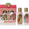 Accentra Hello Winter vonios dovanų rinkinys 2 x 100 ml