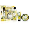 Accentra Lemon & Bergamot Essential Botanical Gift Set