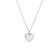 Again Jewelry Delicate sidabrinis pakabukas Širdelė su perlamutru AJNA0031 (grandinė, pakabukas)