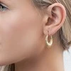 Again Jewelry Madingi paauksuoti auskarai su žiedais AJNS0065