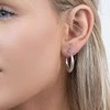 Again Jewelry Stilingi sidabriniai auskarai su lankeliu AJNS0062