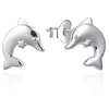 Agato Žaismingi sidabriniai auskarai Dolphin AGT-E099P