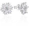 Agato Sidabriniai putojantys auskarai Snowflakes AGT-E007PW