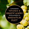 CREAM Antipodes Kiwi Seed Gold ( Luminous Paakių kremas) 30 ml 30ml vietinės priežiūros priemonė
