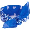Art Of Polo Bandana Classic Rebel