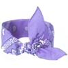 Art Of Polo Bandana Classic Rebel