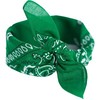 Art Of Polo Bandana Classic Rebel