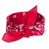 Art Of Polo Bandana Classic Rebel