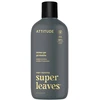 „Attitude Attitude SUPER LEAVES“ dušo želė vyrams – gintaro ir citrusinių vaisių aromatas, 415 ml