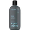 Attitude Attitude SUPER LEAVES MEN, Żel pod prysznic, dla mężczyzn - Eukaliptus i szałwia, 415 ml