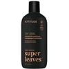 Attitude Vyriškas maitinamasis šampūnas ir kondicionierius 2in1 Super Leaves Patchouli &amp; Bourbon (šampūnas ir kondicionierius) 415 ml