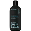 Attitude Vyriškas raminamasis šampūnas ir kondicionierius 2in1 Super Leaves eukaliptas ir šalavijas (šampūnas ir kondicionierius) 415 ml