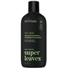 Attitude Vyrų stiprinamasis šampūnas ir kondicionierius 2in1 Super Leaves Matcha &amp; Bergamot (šampūnas ir kondicionierius) 415 ml