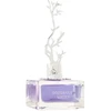 Aurora Scents Aurora Deciduous Winter EDP parfumuotas vanduo moterims, 100 ml