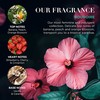 Baylis Harding Boudoire Gift Set - Tropical Paradise 3 × 50 ml