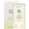 Beauty Of Joseon Protective matting stick SPF 50 Mugwort + Camilia (Matte Sun Stick) 18 g